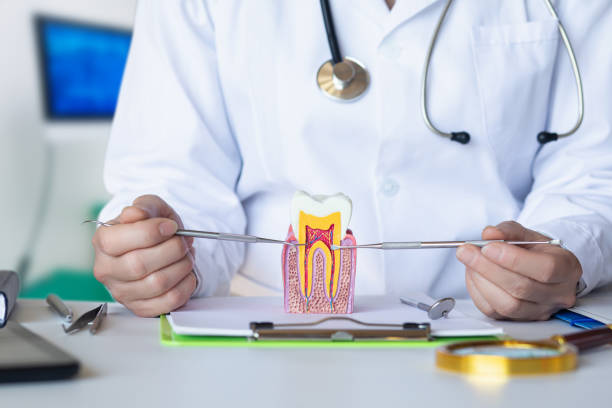 Best Emergency Root Canal Treatment in Fairmont City, IL